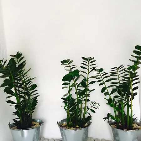 إم فور ميكونوس * Mykonos Town