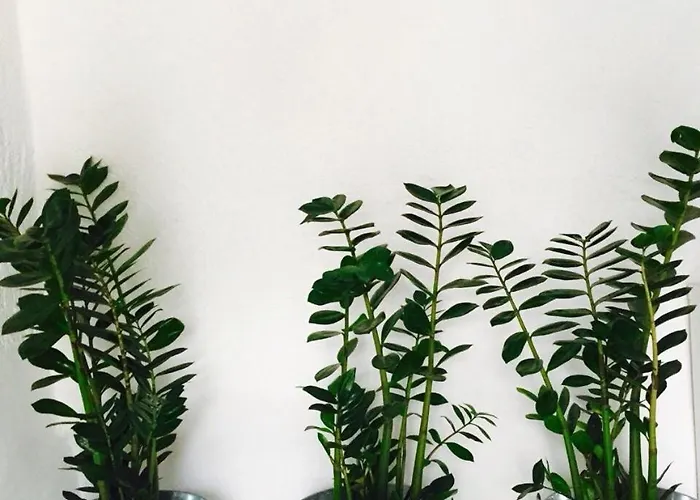 M For Mykonos * Mykonos Town