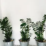 M米科诺斯酒店 * Mykonos Town